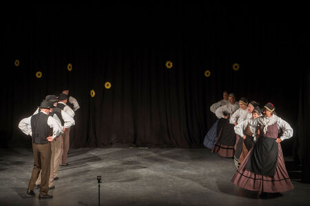 Maroltovo srečanje znova združilo koroške folklorne skupine